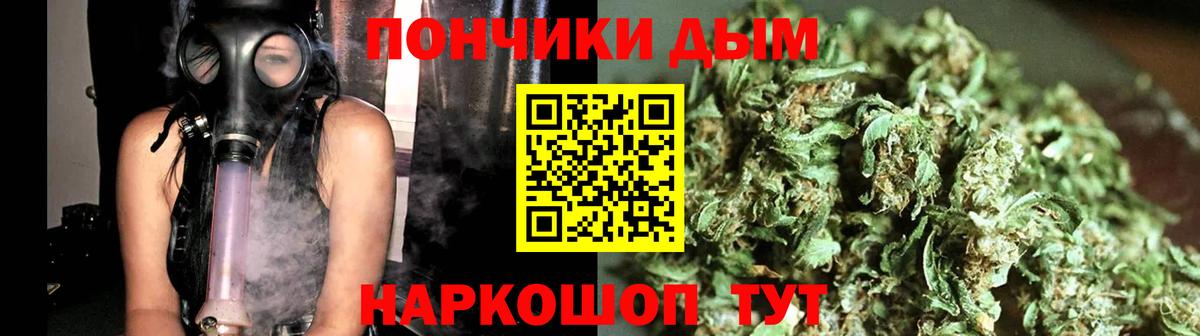 Каннабис ГИДРОПОН Петрозаводск